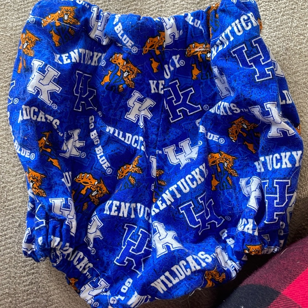 University of Kentucky shorts
